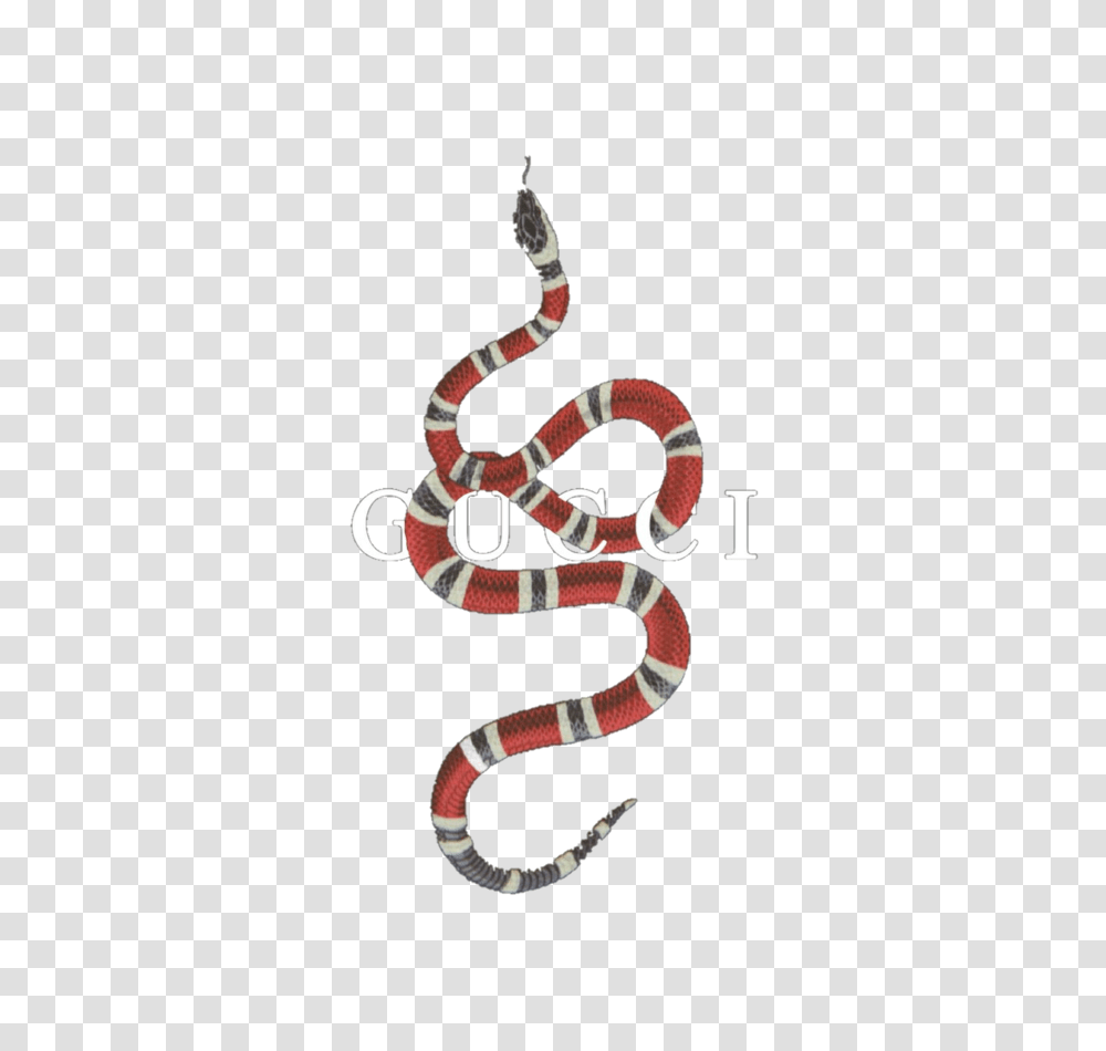 Image About Text In, King Snake, Reptile, Animal, Person Transparent Png