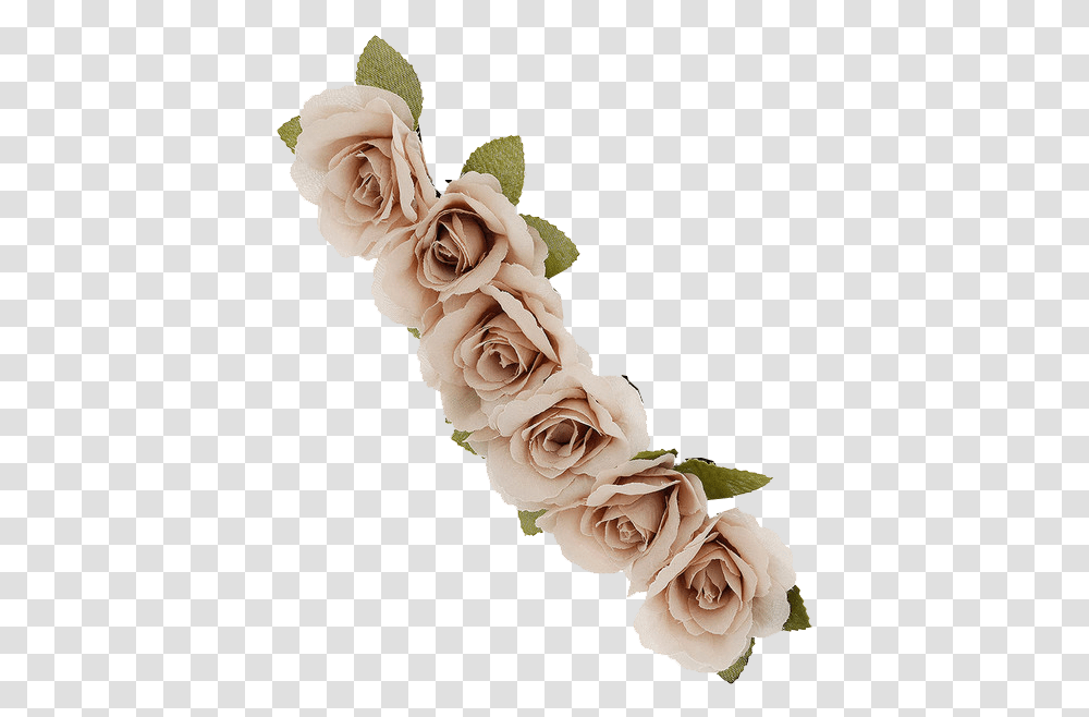 Image About Tumblr In Transparents Beige Flower Crown, Plant, Rose, Blossom, Petal Transparent Png
