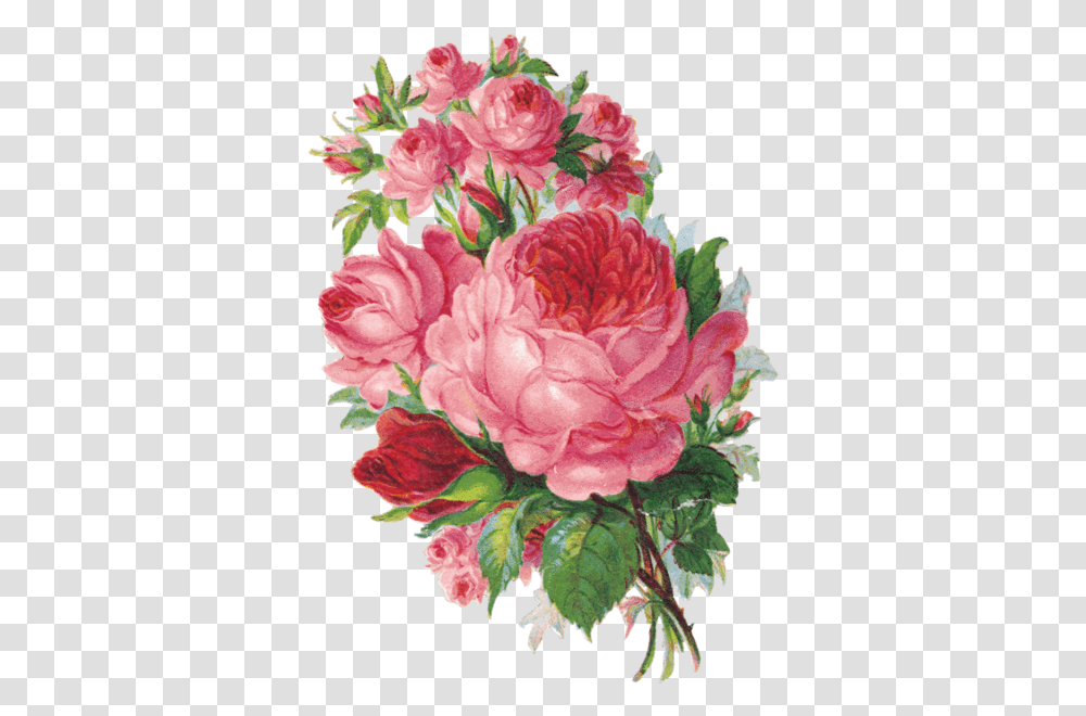 Image About Vintage In By Baka Watercolor Roses Painting, Plant, Flower, Blossom, Carnation Transparent Png