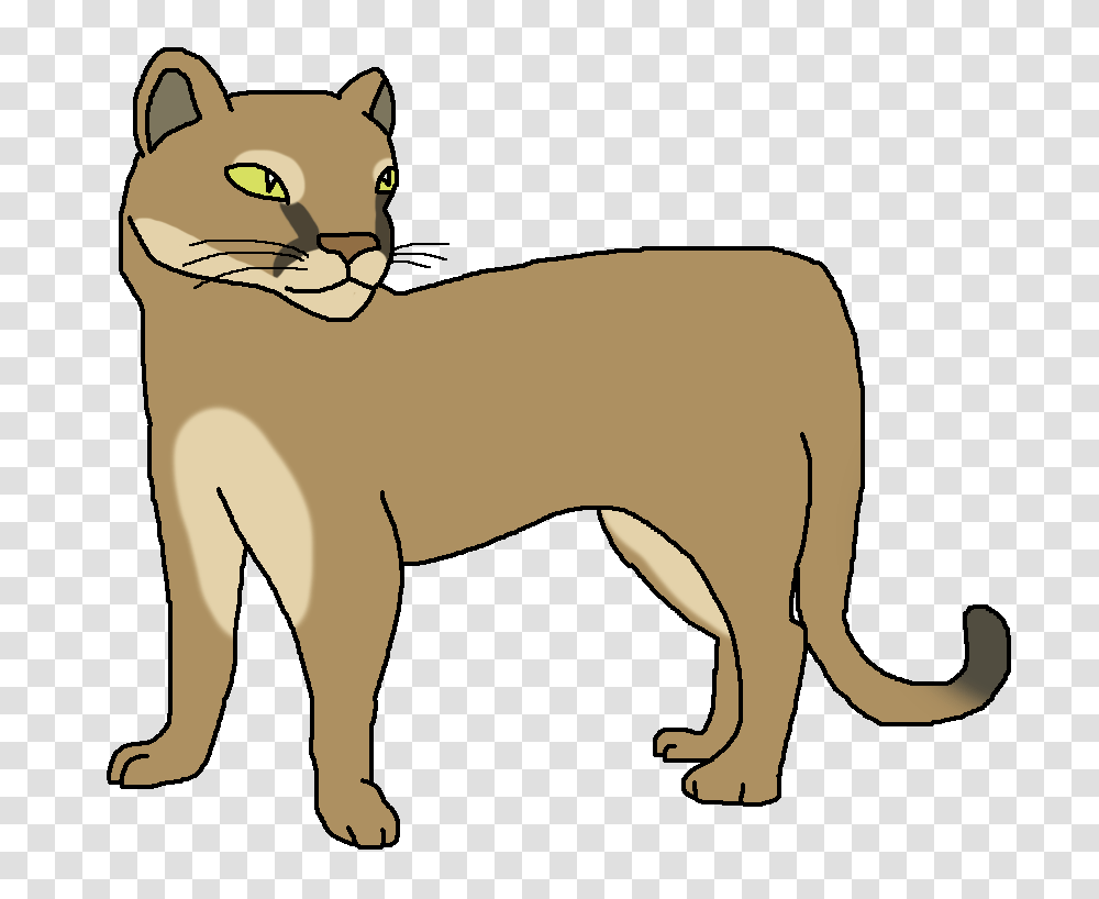 Image, Abyssinian, Cat, Pet, Mammal Transparent Png