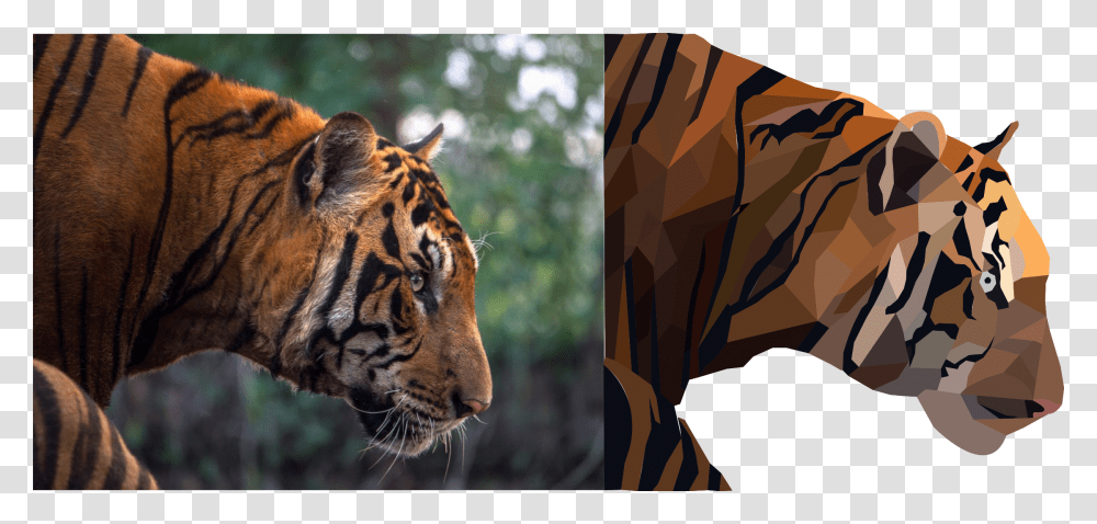 Image Agitated Tiger, Wildlife, Mammal, Animal Transparent Png