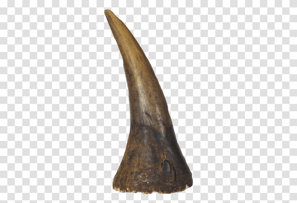 Image Albrecht D Rer Rhinoceros Horn, Ivory, Axe, Tool, Brass Section Transparent Png