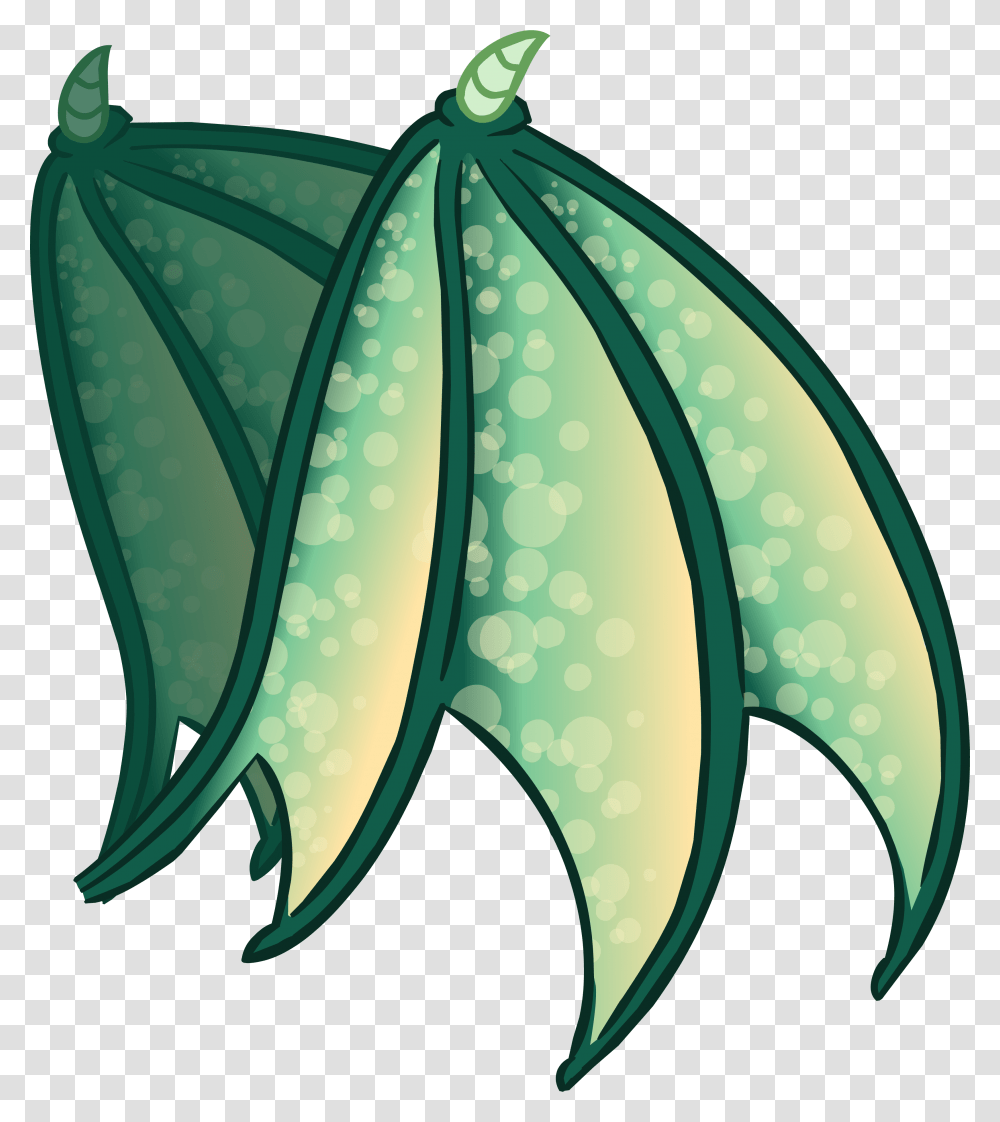 Image, Aloe, Plant, Leaf, Tree Transparent Png