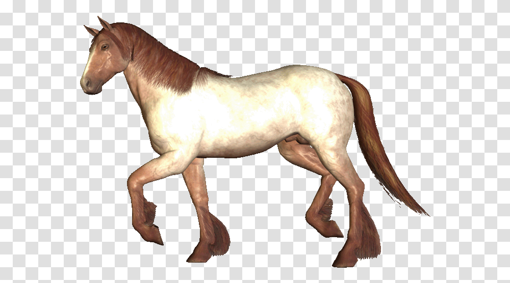 Image And Video Hosting By Tinypic Anamated Running Horse Gif Animados De Caballos, Mammal, Animal, Stallion, Colt Horse Transparent Png