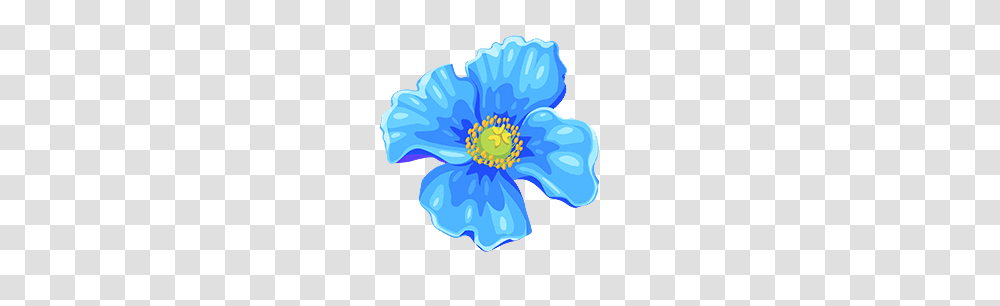Image, Anemone, Flower, Plant, Blossom Transparent Png