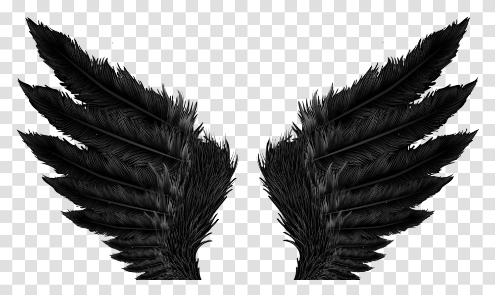 Image Angel Wings Black, Bird, Animal Transparent Png