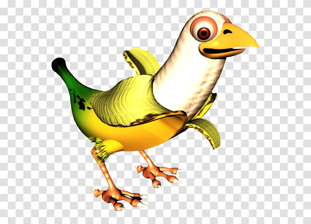 Image, Animal, Beak, Bird, Person Transparent Png