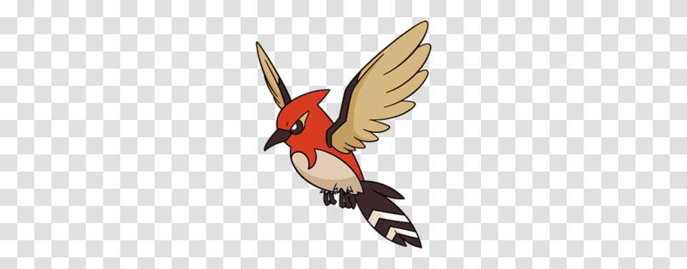 Image, Animal, Bird, Cardinal, Flying Transparent Png