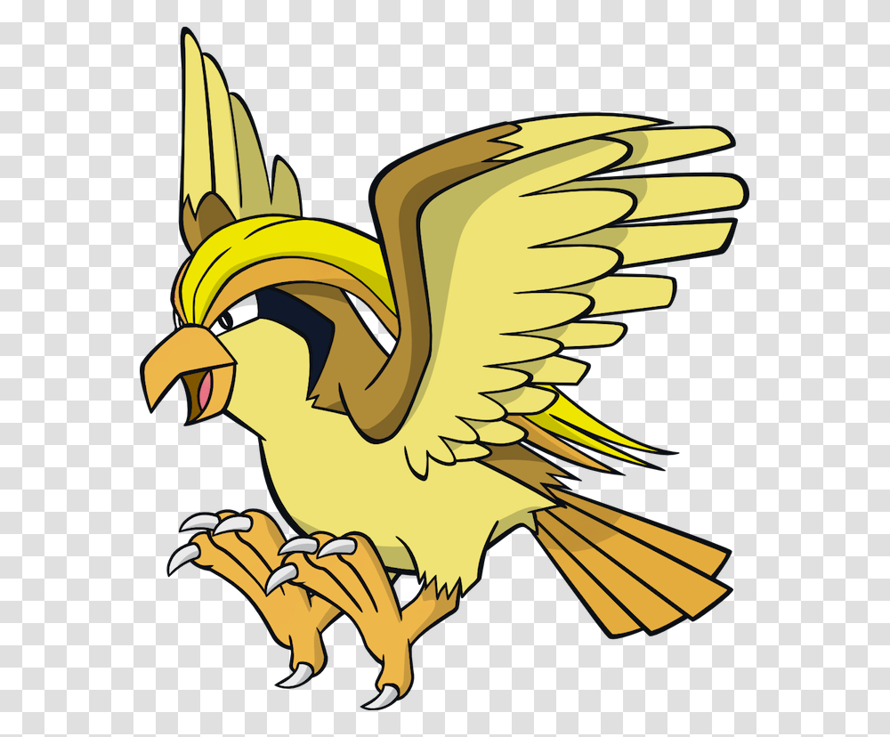 Image, Animal, Bird, Dodo, Eagle Transparent Png