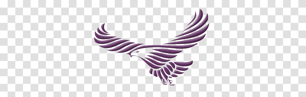 Image, Animal, Bird, Eagle, Flying Transparent Png