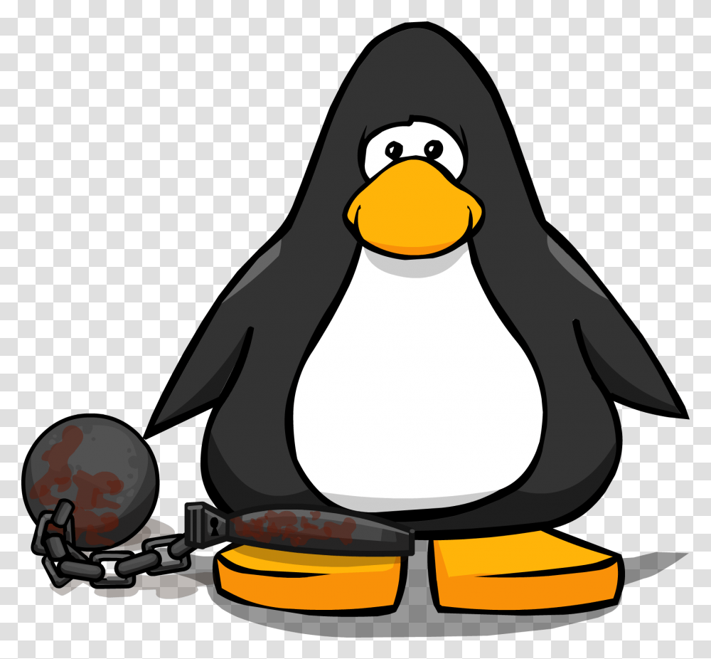 Image, Animal, Bird, Penguin, King Penguin Transparent Png