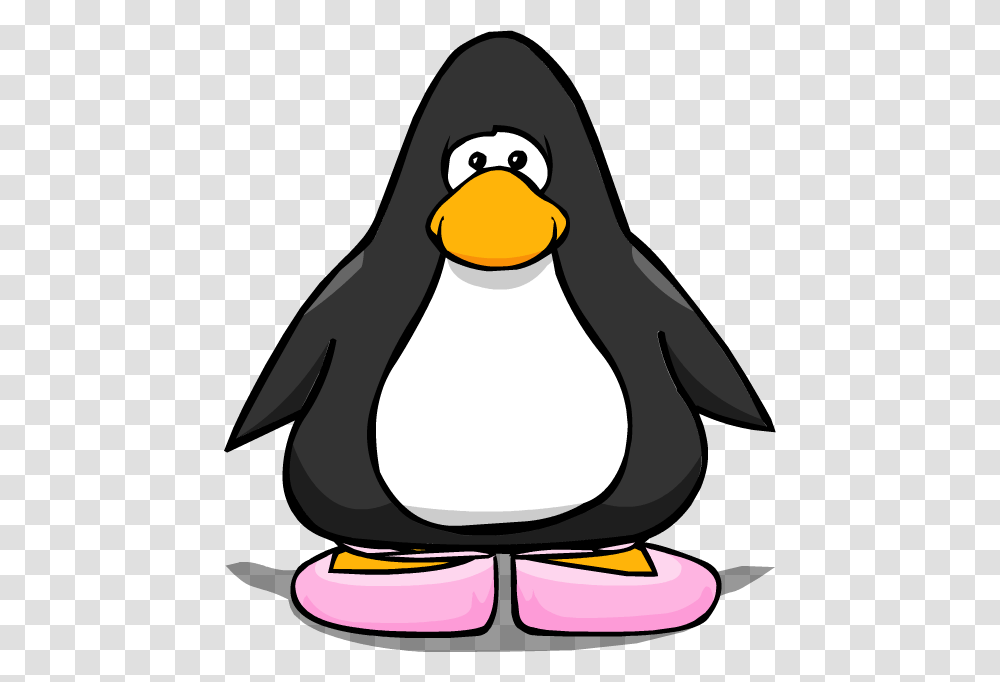 Image, Animal, Bird, Penguin, King Penguin Transparent Png