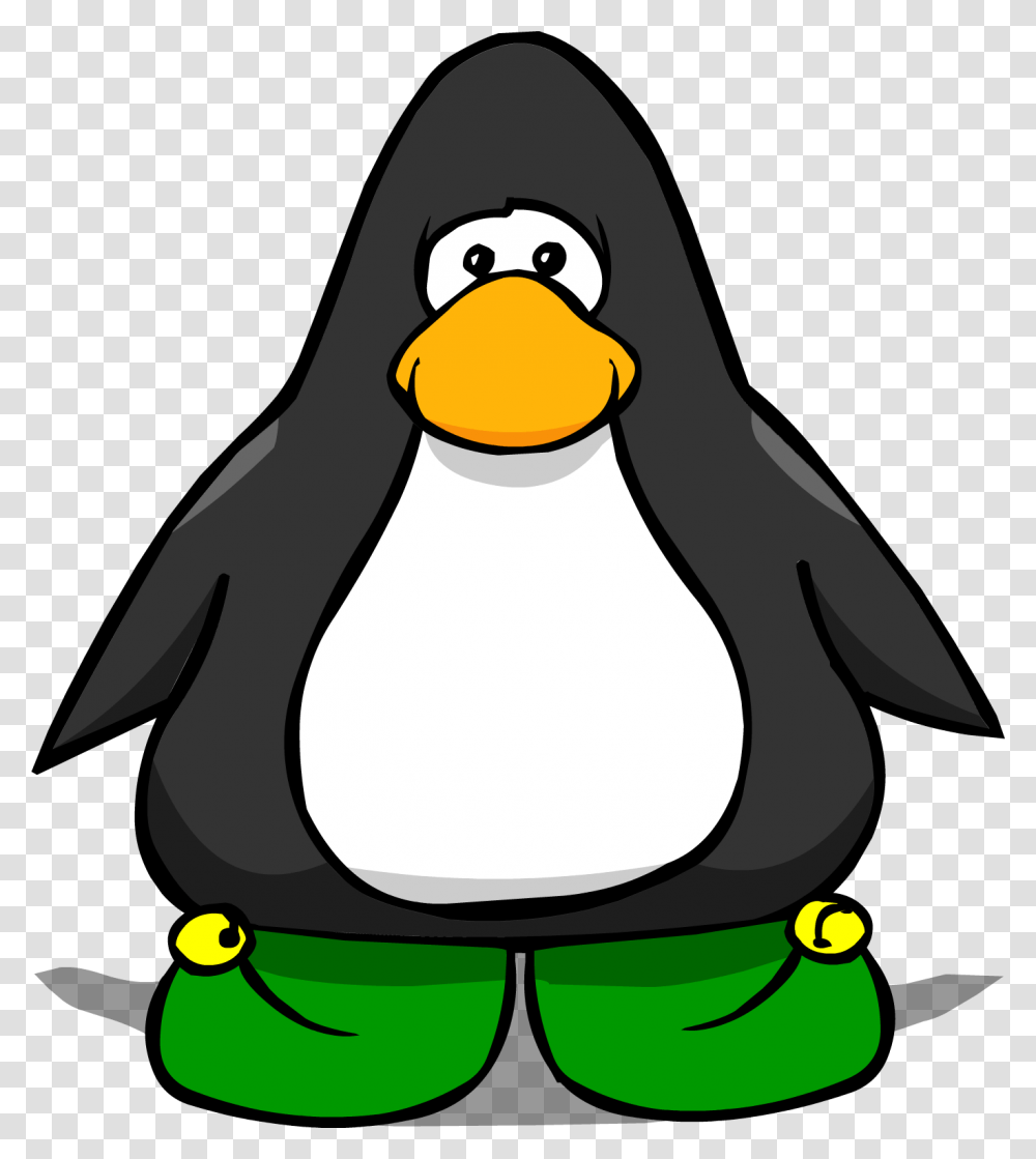 Image, Animal, Bird, Penguin, King Penguin Transparent Png