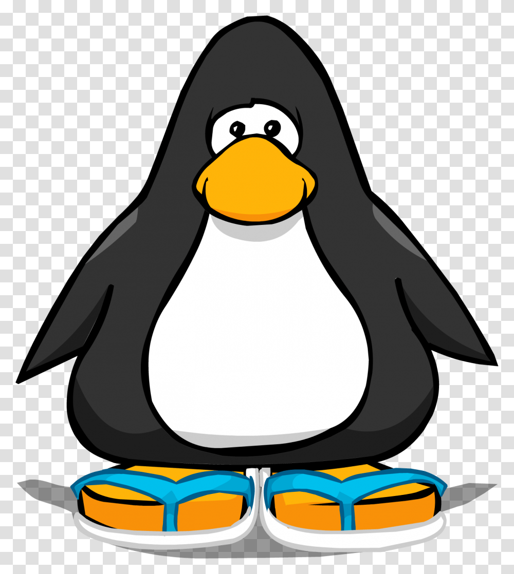 Image, Animal, Bird, Penguin, Sunglasses Transparent Png