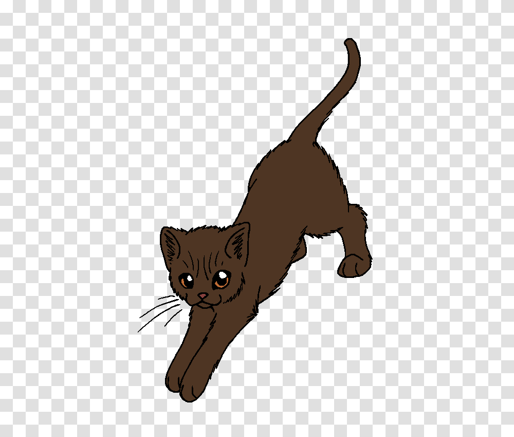 Image, Animal, Cat, Pet, Mammal Transparent Png