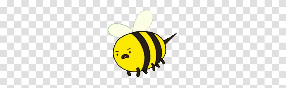 Image, Animal, Honey Bee, Insect, Invertebrate Transparent Png