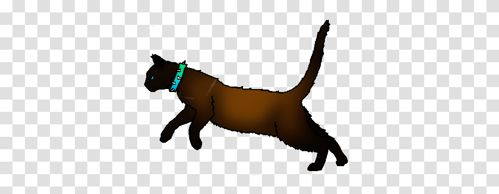 Image, Animal, Mammal, Accessories, Canine Transparent Png