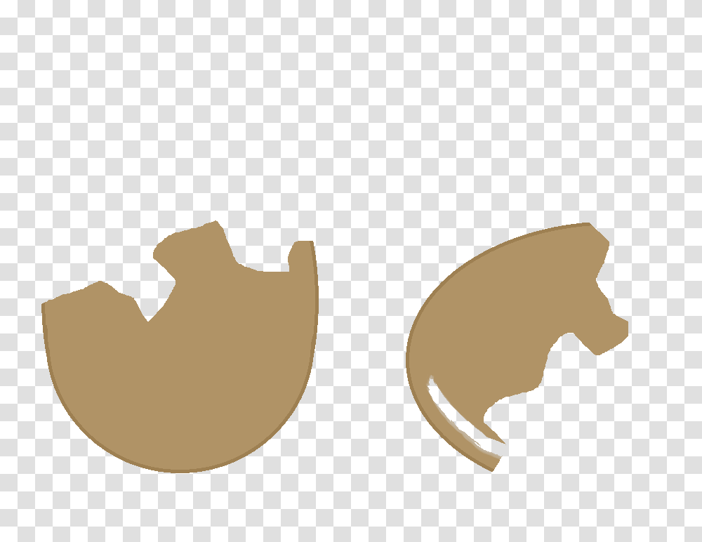 Image, Animal, Mammal, Bird, Eagle Transparent Png