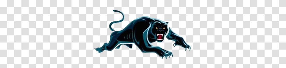 Image, Animal, Mammal, Wildlife, Panther Transparent Png