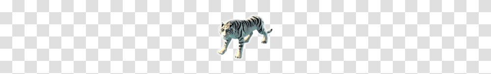 Image, Animal, Tiger, Wildlife, Mammal Transparent Png