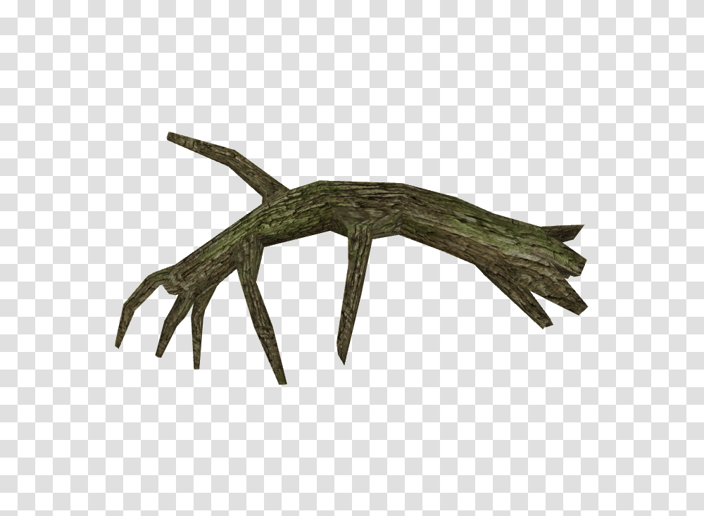 Image, Antler, Animal, Root, Plant Transparent Png