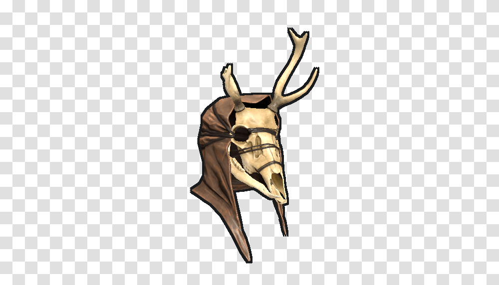 Image, Antler, Antelope, Wildlife, Mammal Transparent Png