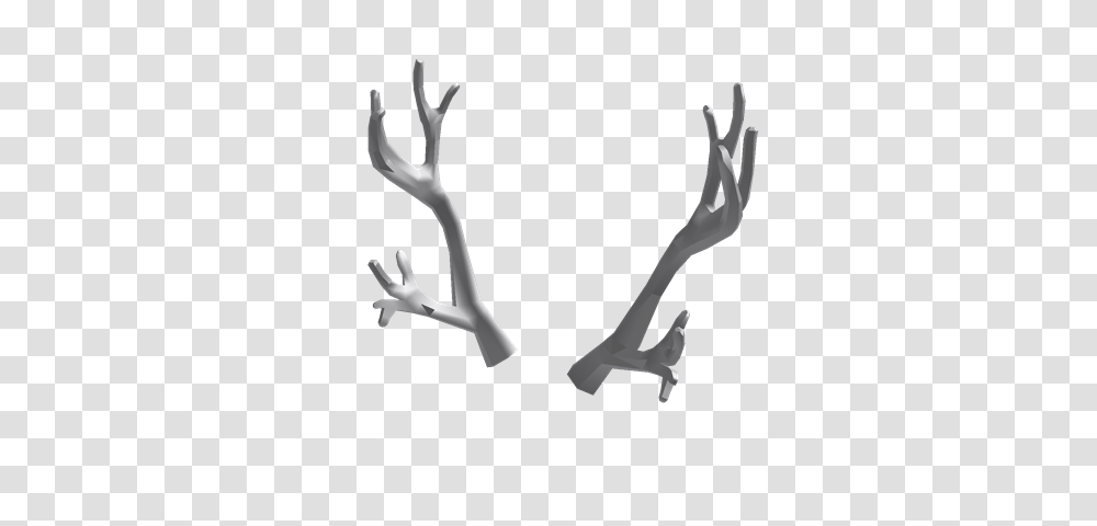 Image, Antler, Bird, Animal Transparent Png