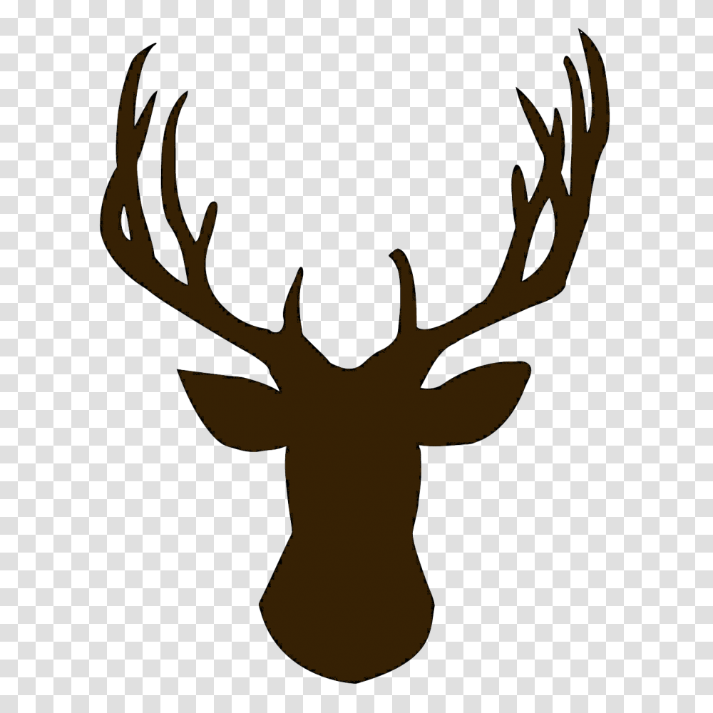 Image, Antler, Lighting, Elk, Deer Transparent Png