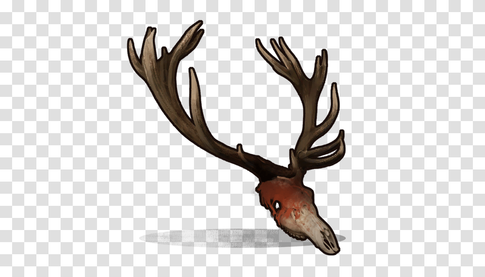Image, Antler, Painting, Animal Transparent Png