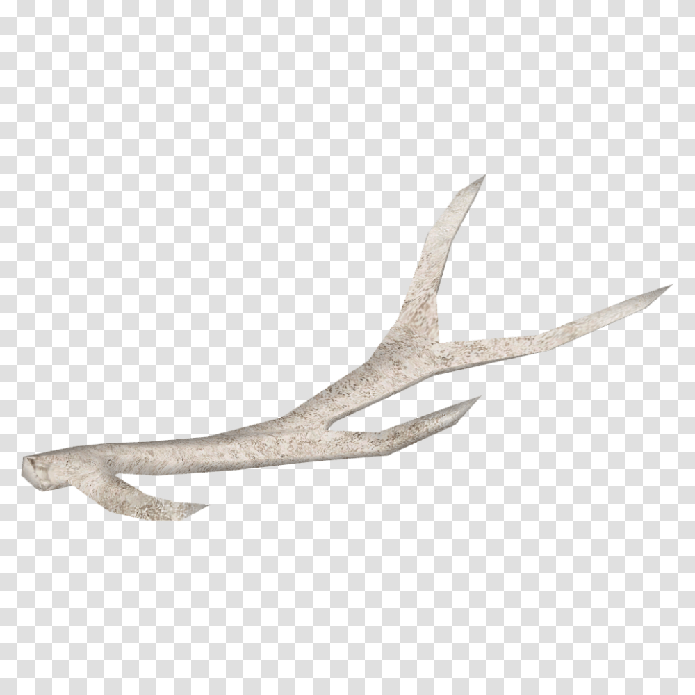 Image, Antler Transparent Png