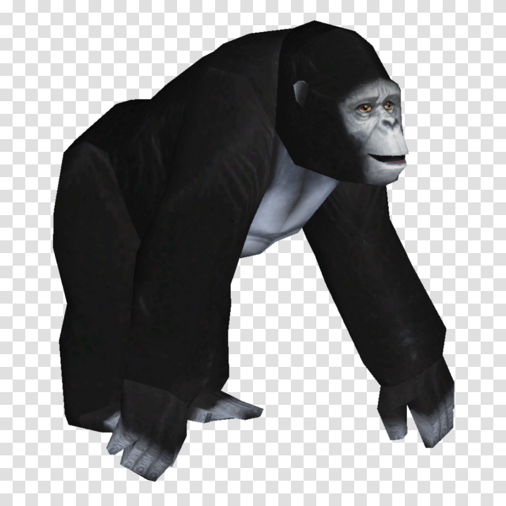 Image, Ape, Wildlife, Mammal, Animal Transparent Png