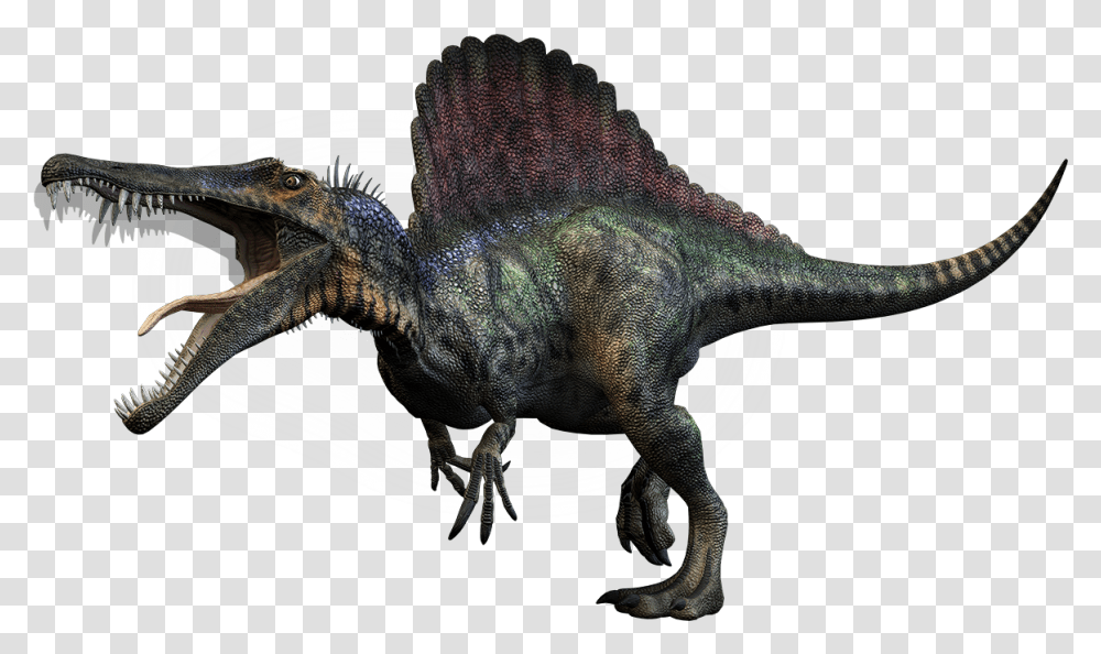 Image Background Dinosaurs Spinosaurus, Reptile, Animal, T-Rex Transparent Png