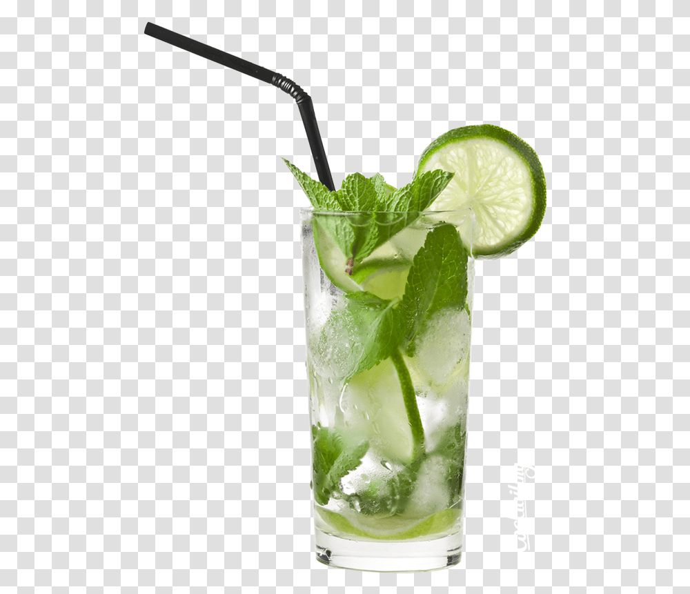 Image Background Mojito, Cocktail, Alcohol, Beverage, Drink Transparent Png