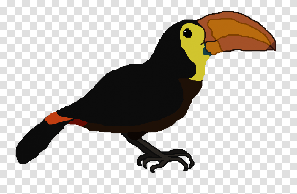 Image, Bird, Animal, Blackbird, Agelaius Transparent Png