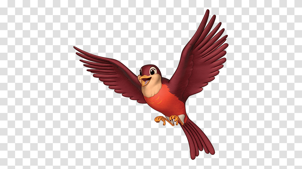 Image, Bird, Animal, Cardinal, Flying Transparent Png
