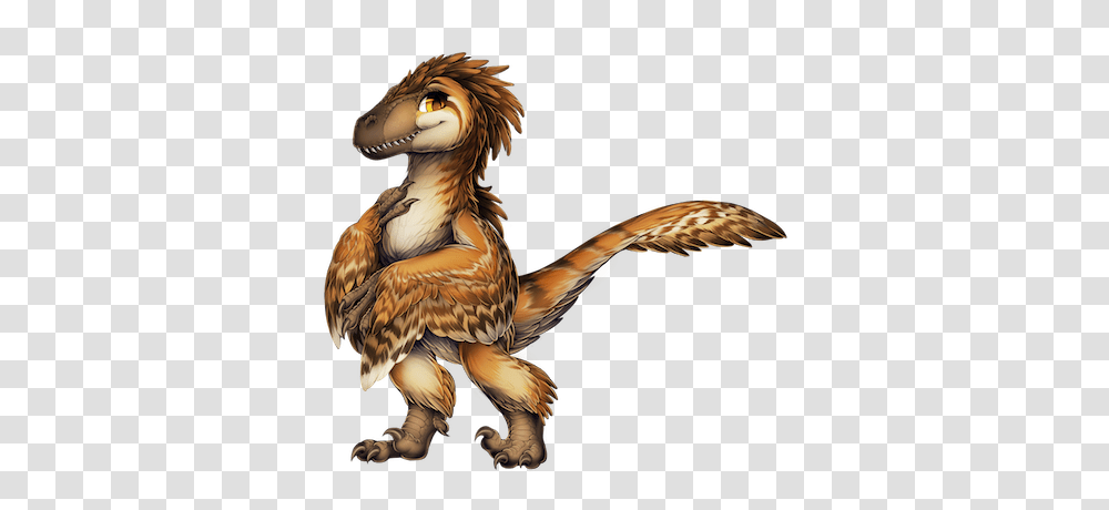 Image, Bird, Animal, Chicken, Poultry Transparent Png