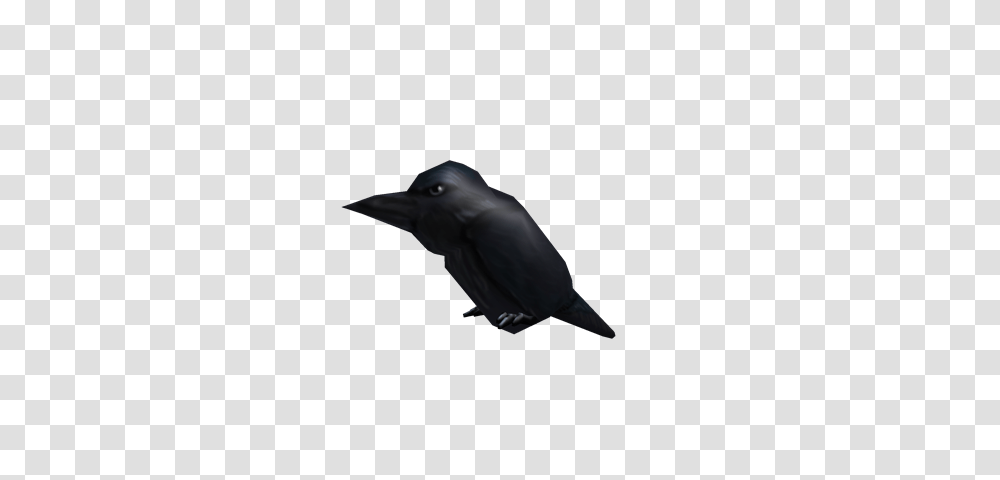 Image, Bird, Animal, Crow, Silhouette Transparent Png
