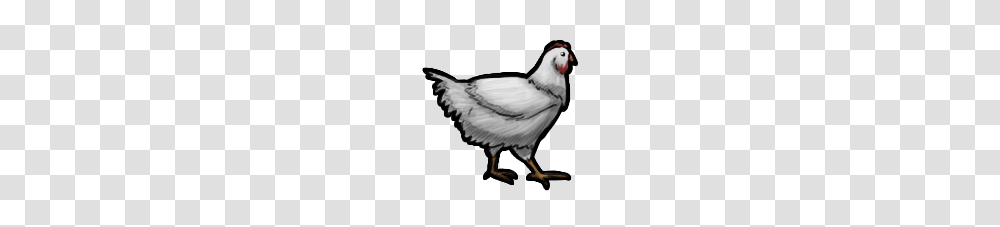 Image, Bird, Animal, Fowl, Poultry Transparent Png