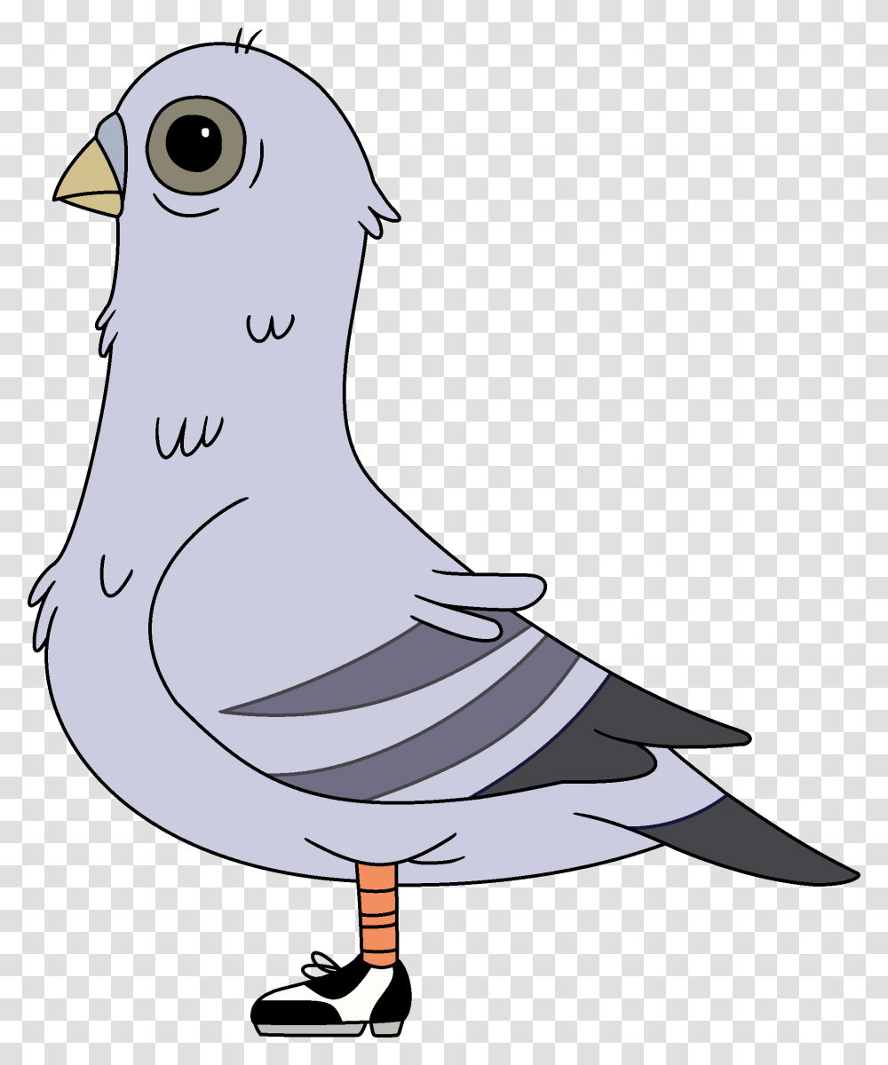 Image, Bird, Animal, Goose, Pigeon Transparent Png