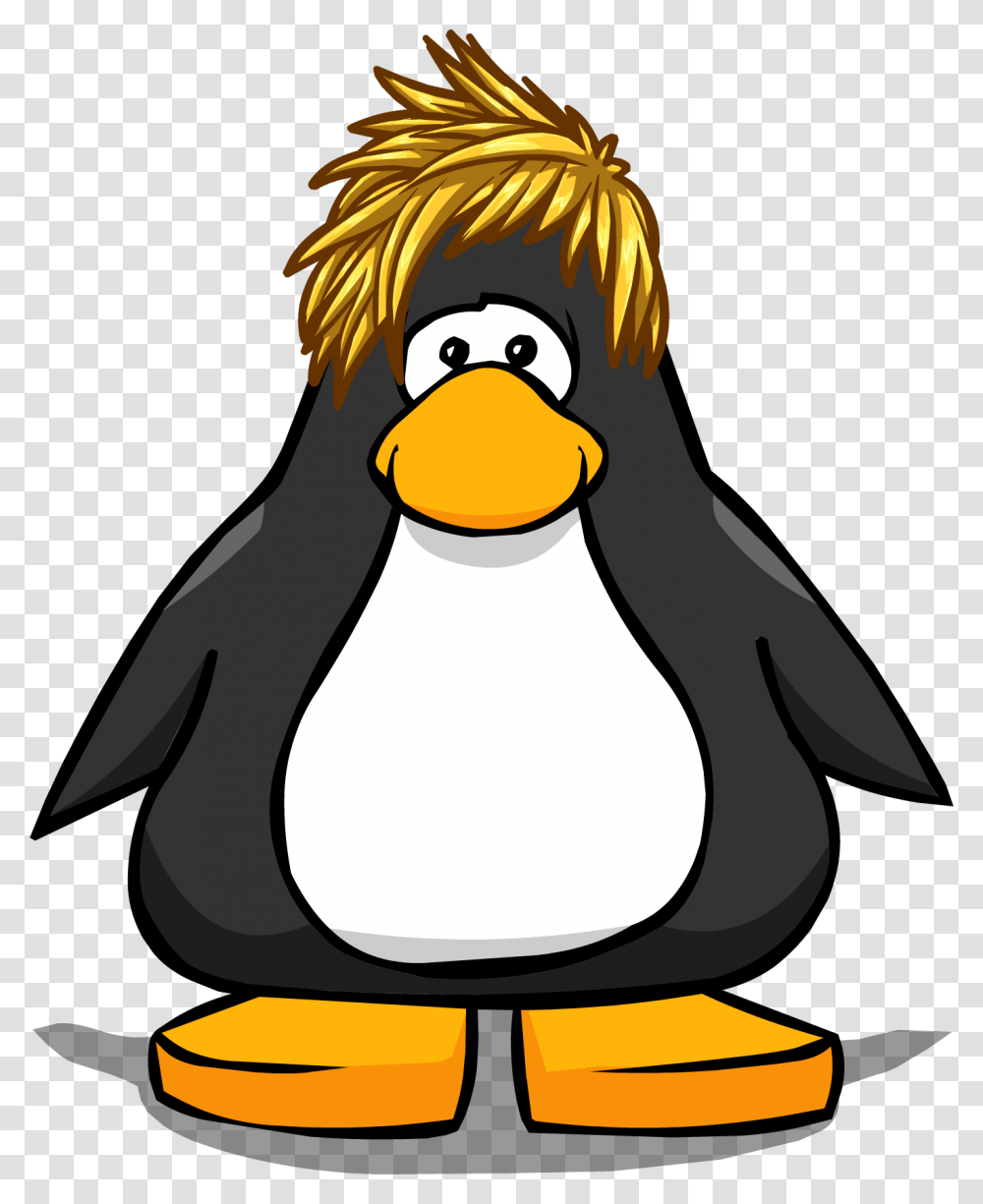 Image, Bird, Animal, Penguin, King Penguin Transparent Png