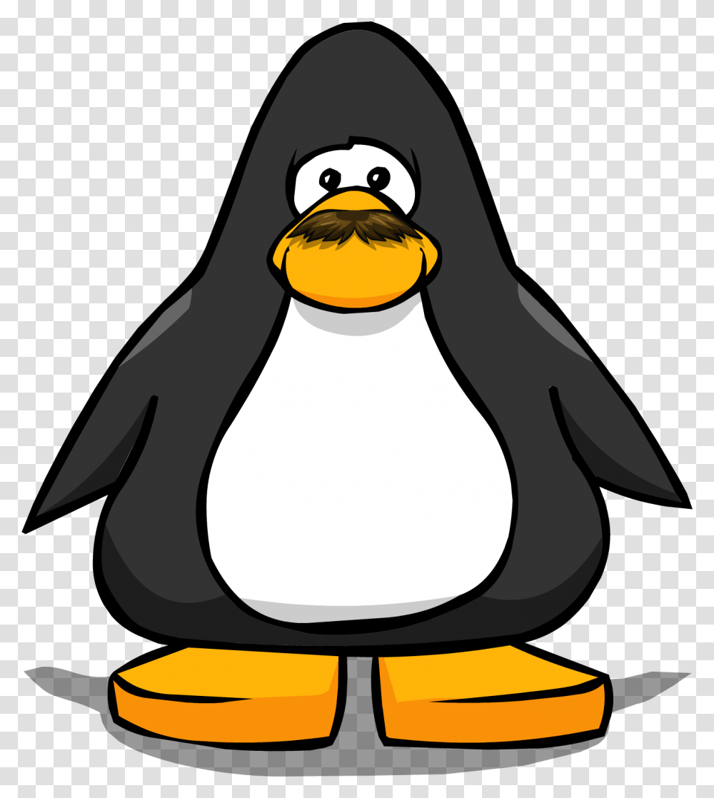 Image, Bird, Animal, Penguin, King Penguin Transparent Png