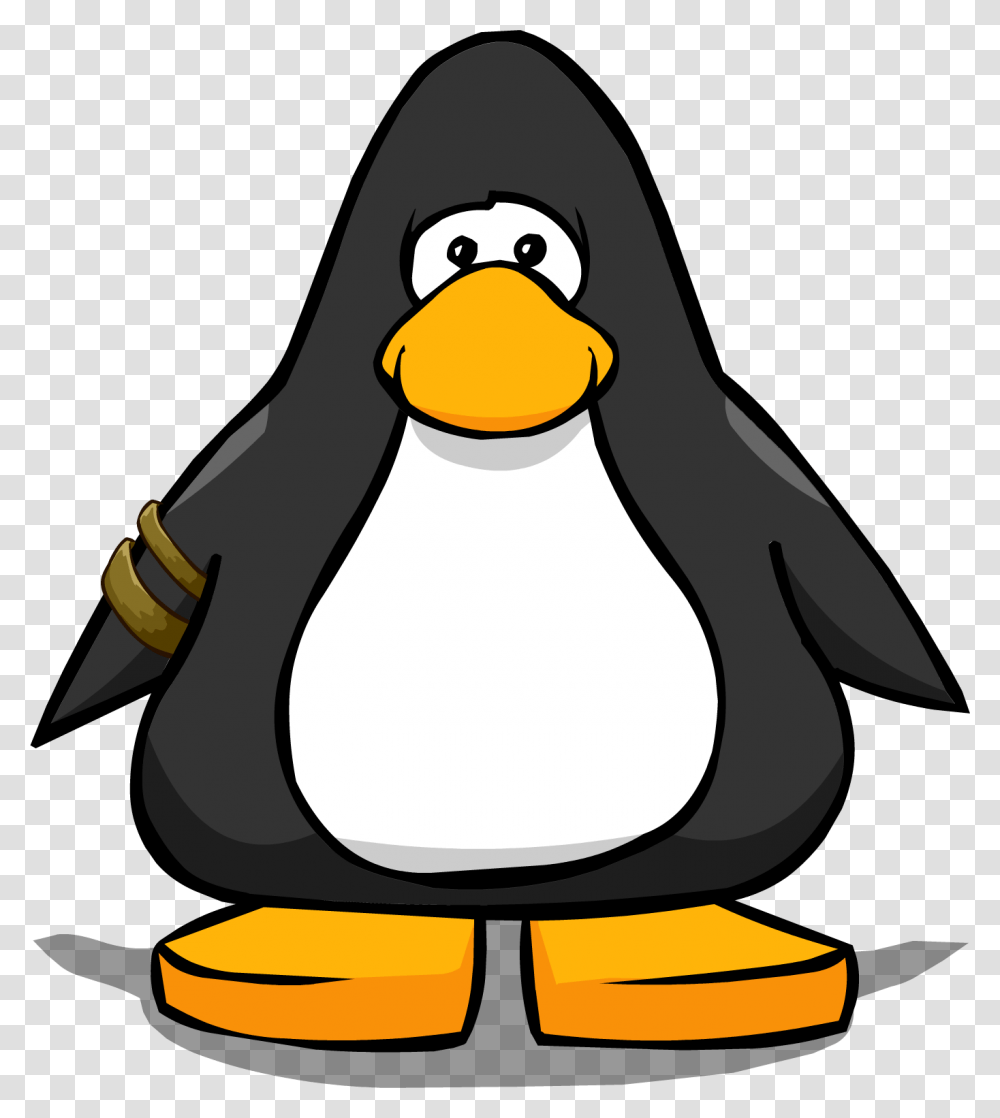 Image, Bird, Animal, Penguin, King Penguin Transparent Png