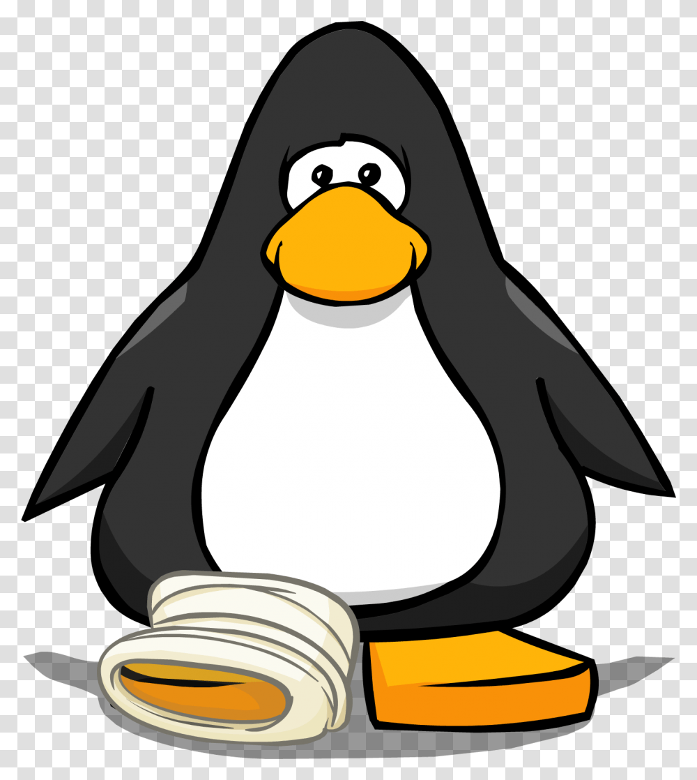 Image, Bird, Animal, Penguin, King Penguin Transparent Png