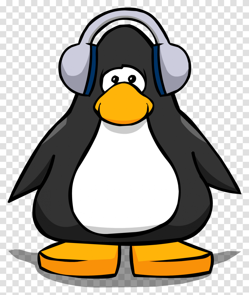 Image, Bird, Animal, Penguin, King Penguin Transparent Png