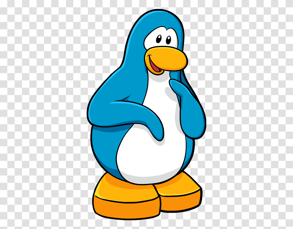 Image, Bird, Animal, Penguin, King Penguin Transparent Png