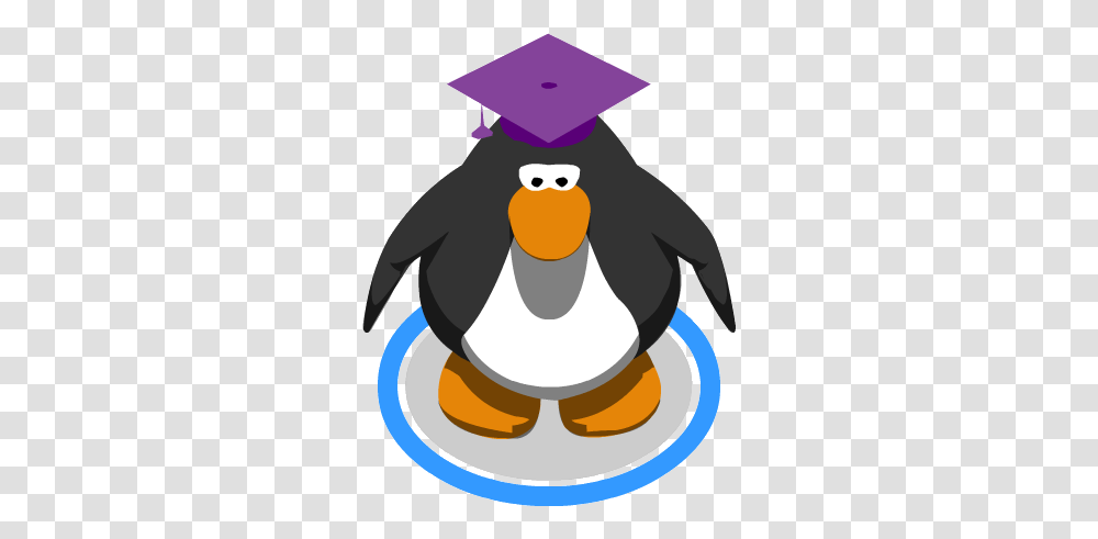 Image, Bird, Animal, Penguin, King Penguin Transparent Png