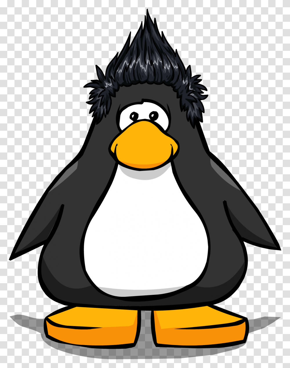 Image, Bird, Animal, Penguin, King Penguin Transparent Png