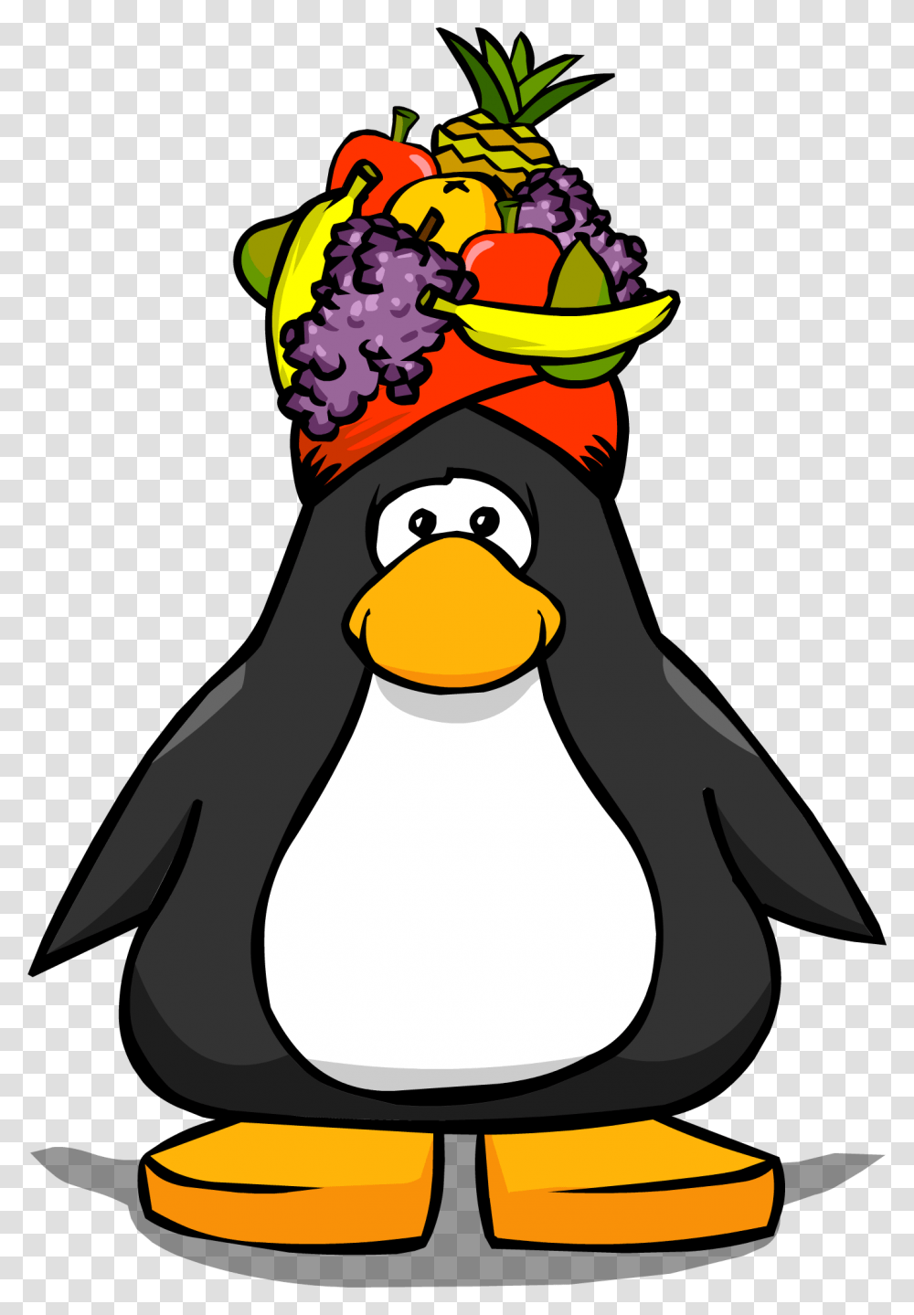 Image, Bird, Animal, Penguin, King Penguin Transparent Png