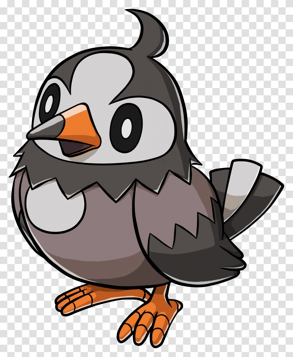 Image, Bird, Animal, Penguin, Puffin Transparent Png