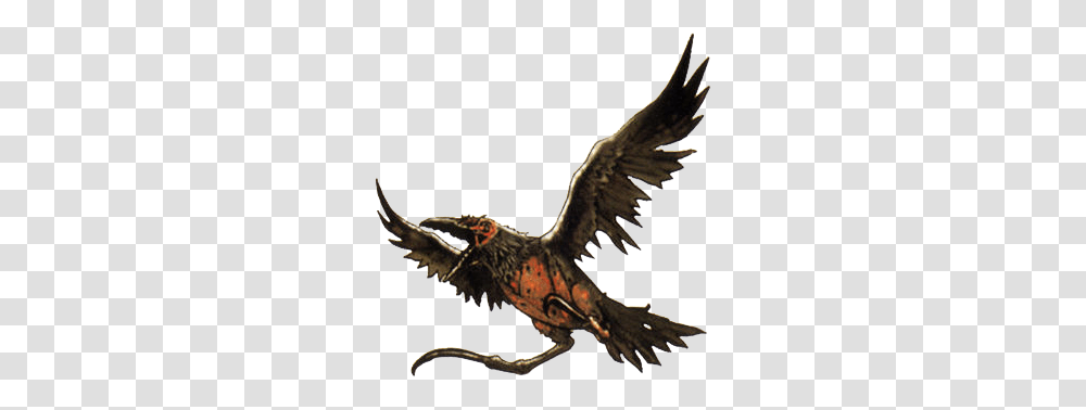 Image, Bird, Animal, Vulture, Eagle Transparent Png